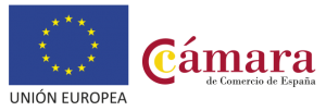 Cámara de Comercio de Valencia, Plan de Capacitación PICE y Fondo Social Europeo